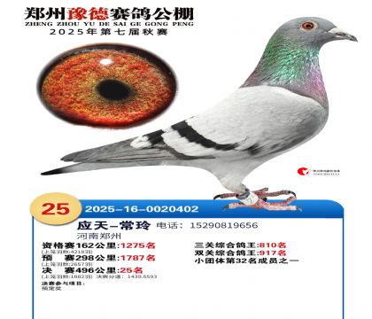 ֣��ԥ�¾���25��