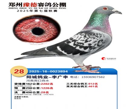 ֣��ԥ�¾���28��