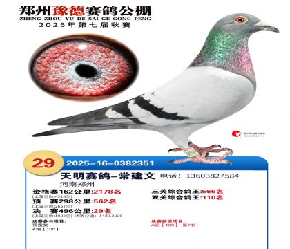 ֣��ԥ�¾���29��