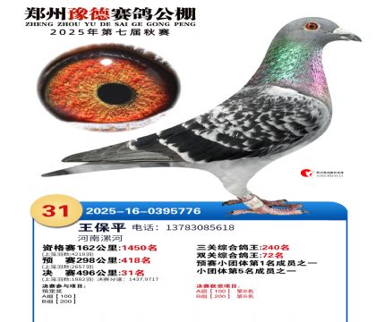 ֣��ԥ�¾���31��