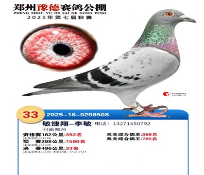 ֣��ԥ�¾���33��