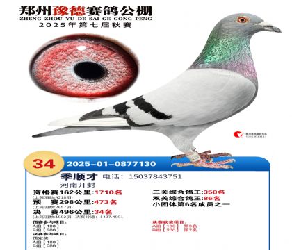 ֣��ԥ�¾���34��