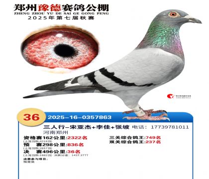 ֣��ԥ�¾���36��