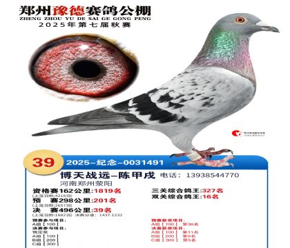 ֣��ԥ�¾���39��