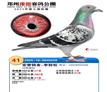 ֣��ԥ�¾���41��