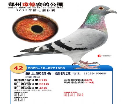 ֣��ԥ�¾���42��