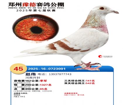 ֣��ԥ�¾���45��