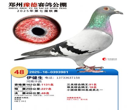 ֣��ԥ�¾���48��