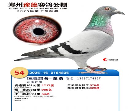 ֣��ԥ�¾���54��