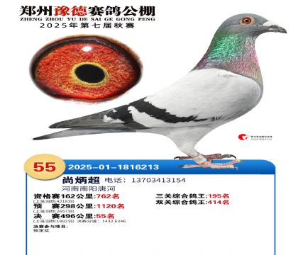 ֣��ԥ�¾���55��