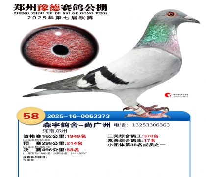 ֣��ԥ�¾���58��