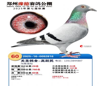 ֣��ԥ�¾���60��