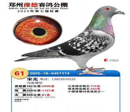 ֣��ԥ�¾���61��