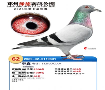 ֣��ԥ�¾���62��