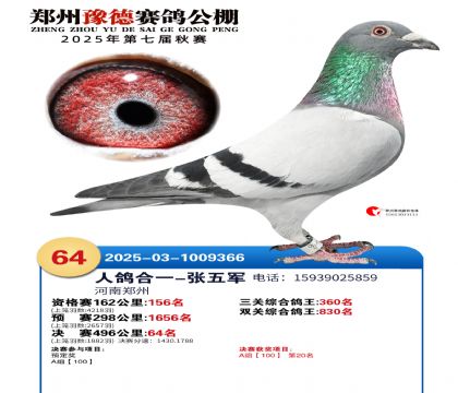 ֣��ԥ�¾���64��