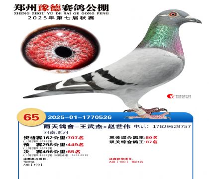 ֣��ԥ�¾���65��