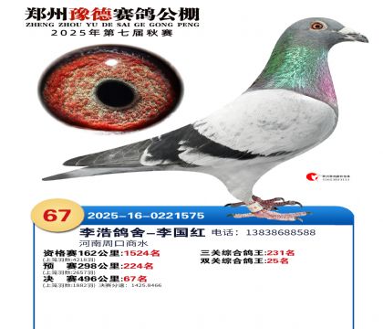 ֣��ԥ�¾���67��