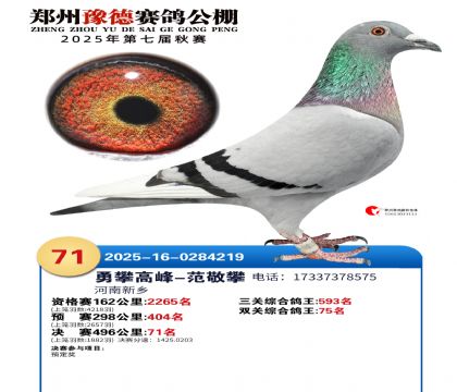 ֣��ԥ�¾���71��