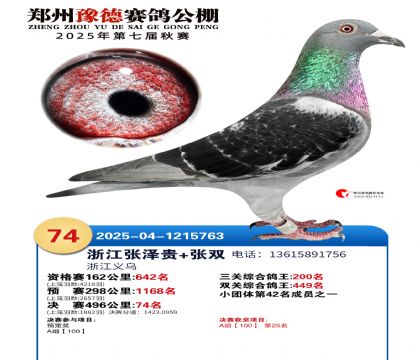 ֣��ԥ�¾���74��