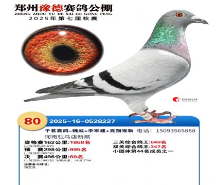 ֣��ԥ�¾���80��