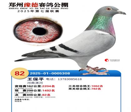 ֣��ԥ�¾���82��