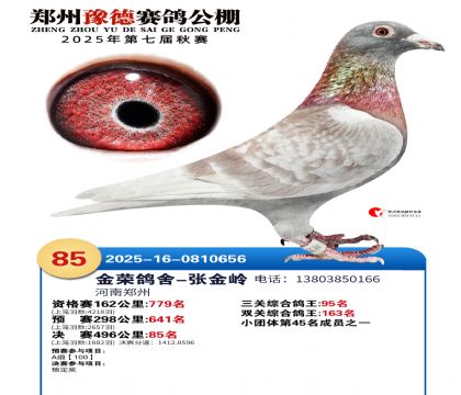 ֣��ԥ�¾���85��