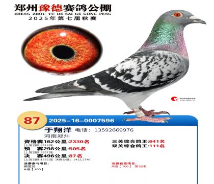 ֣��ԥ�¾���87��