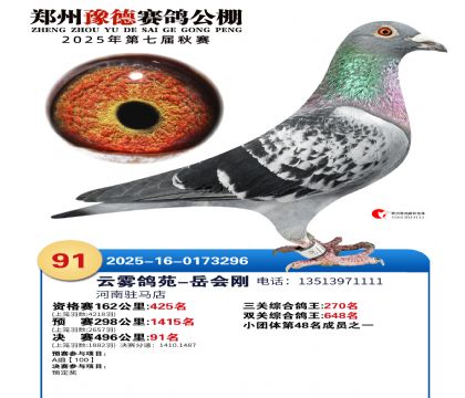 ֣��ԥ�¾���91��