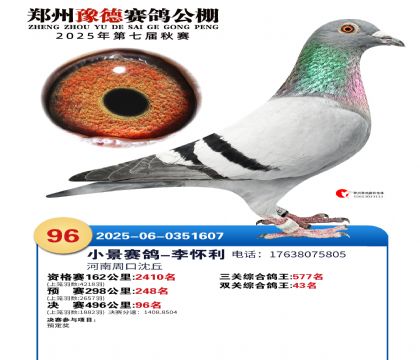 ֣��ԥ�¾���96��