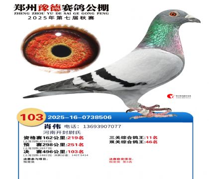 ֣��ԥ�¾���103��