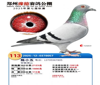 ֣��ԥ�¾���113��