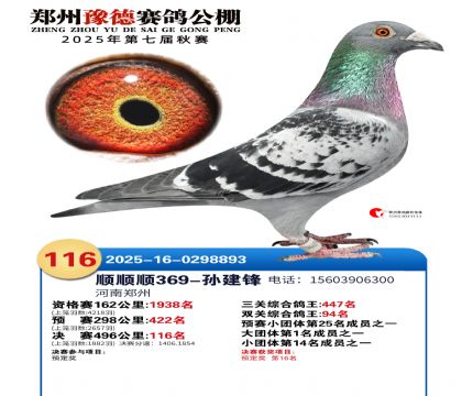 ֣��ԥ�¾���116��