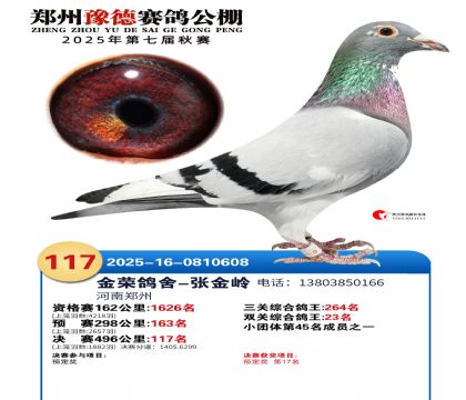 ֣��ԥ�¾���117��