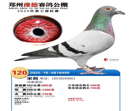 ֣��ԥ�¾���120��