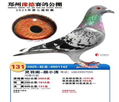 ֣��ԥ�¾���131��