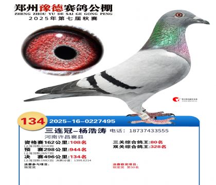 ֣��ԥ�¾���134��