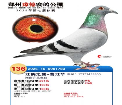 ֣��ԥ�¾���136��