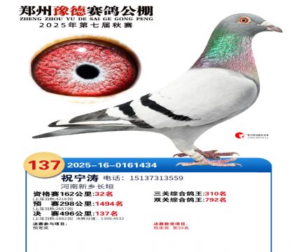 ֣��ԥ�¾���137��