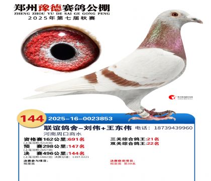 ֣��ԥ�¾���144��