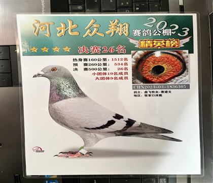 ����Ƭ��뷢��