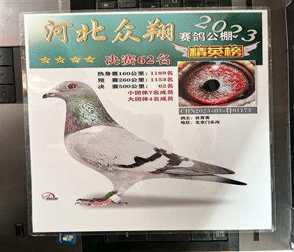 ����Ƭ��뷢��