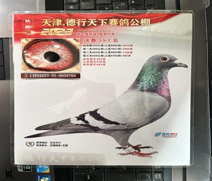 ����Ƭ��뷢��