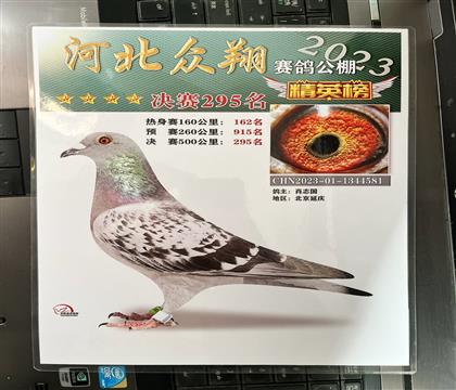 ����Ƭ��뷢��