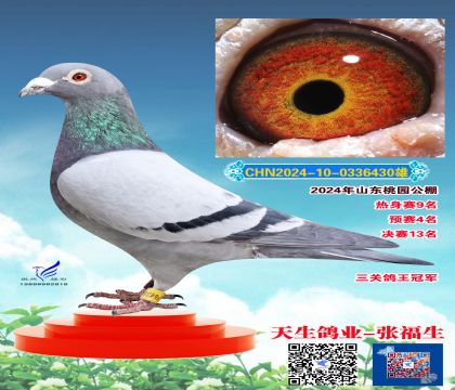 ���ظ����ھ�