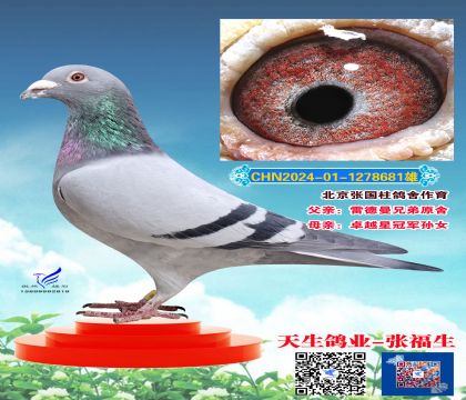 �����Ź������� �׵���