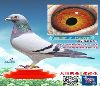 ����6��ֱŮ222