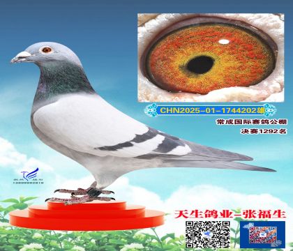 ����29��ֱ��202