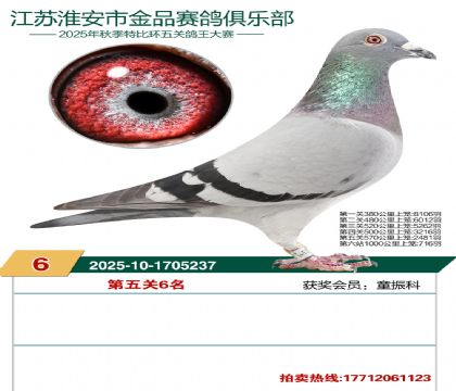 ������Ʒ�����6��