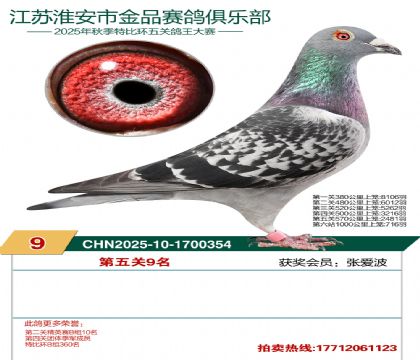 淮安金品第五关9名