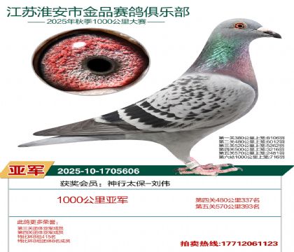 ������Ʒ1000�����Ǿ�